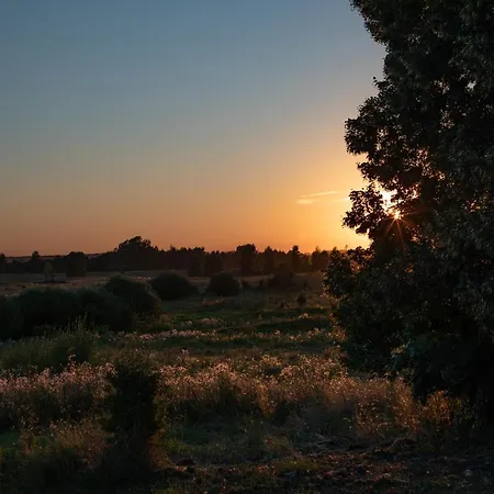 Siedlisko Szymonka * 雷恩