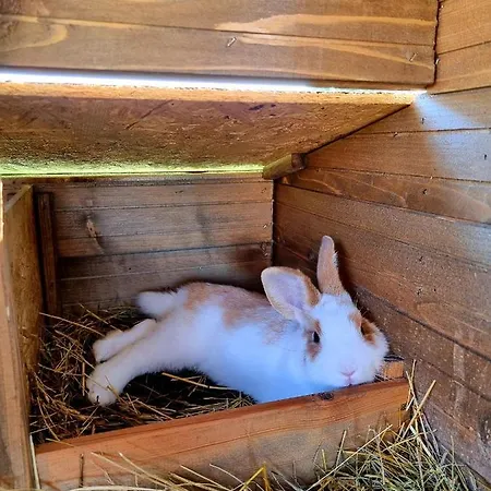 度假居 Siedlisko Szymonka