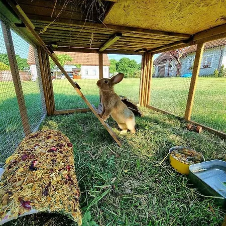 度假居 Siedlisko Szymonka