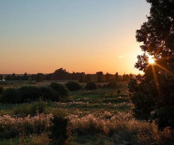 Siedlisko Szymonka Nyaraló *