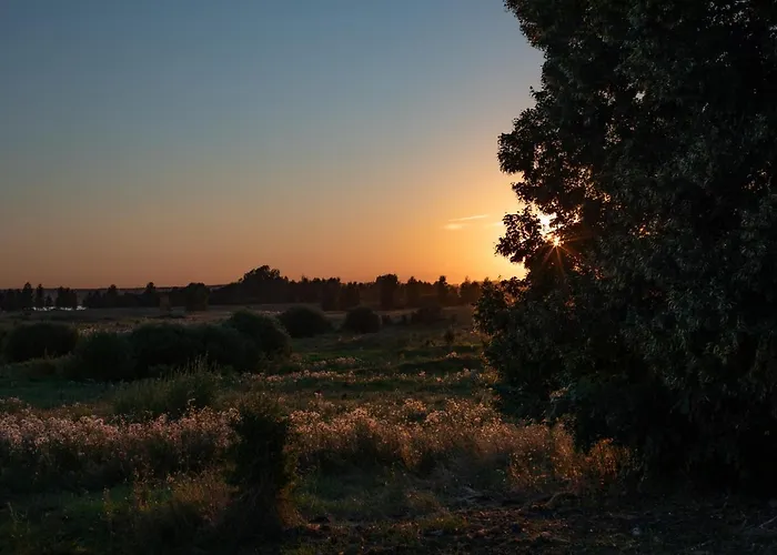 Siedlisko Szymonka * Ryn